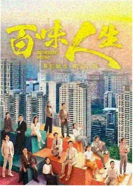 雾港纪事剧集封面